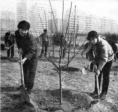 Habitants de Beijing en train de planter des arbres, protéger l'environnement c'est aussi protéger la santé des gens