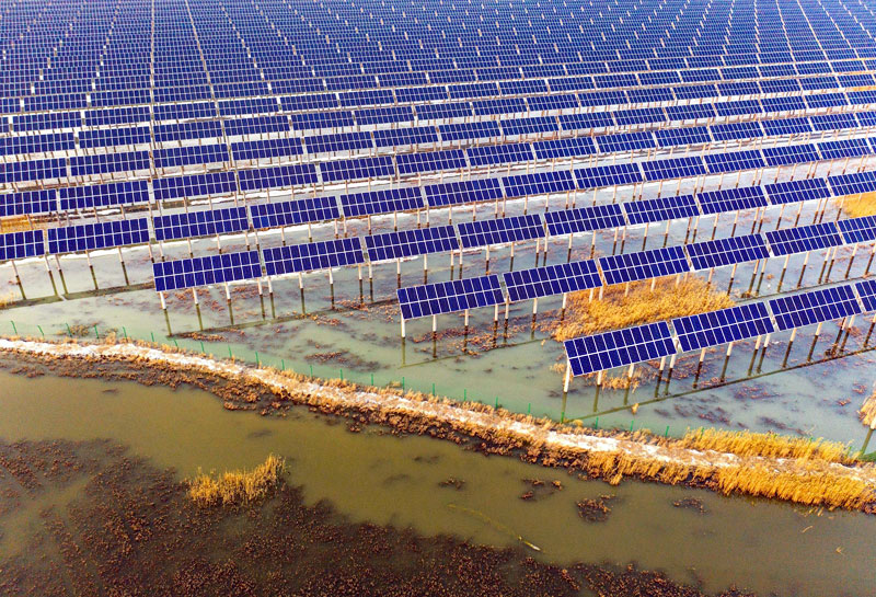 Une centrale solaire construite dans une prairie de Daqing, dans la province du Heilongjiang (Image: Alamy)