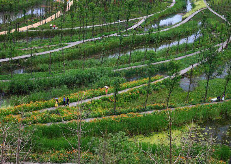 Liupanshui Minghu Wetland Park by Turenscape Landscape Architecture (2012 – Liupanshui – Chine) Ce parc répond aux besoins de détente et d’esthétique de ses utilisateurs tout en assurant la régénération d’une zone humide polluée. 