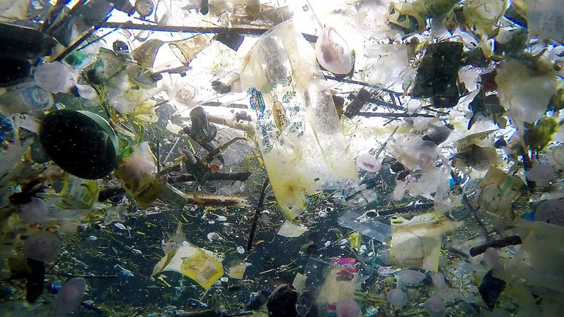 Sealife sont vus nager parmi les polluants plastiques massifs à Manta Point, Nusa Penida, Bali, Indonésie, 3 mars 2018. / Photo: cfp.cn