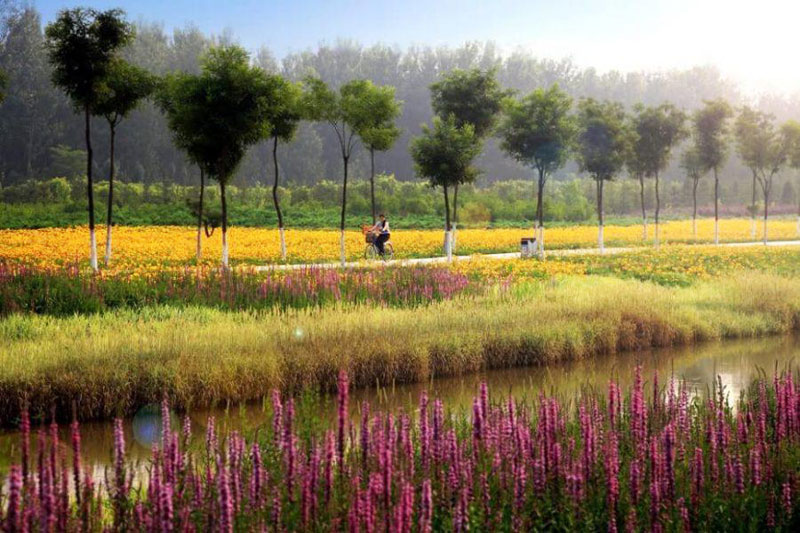 Sanlihe River Ecological Corridor après éco-aménagements (2007 – Qian’an – Chine) 