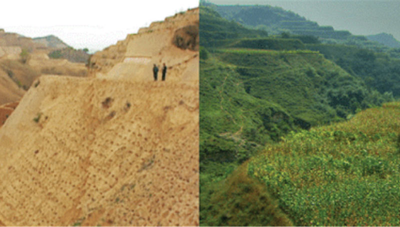 Le plateau de Loess en 1990 (à gauche) et en 2010 (à droite)