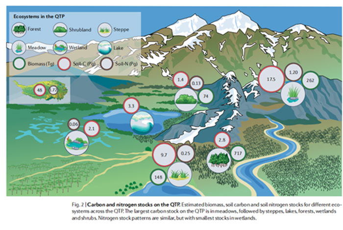 Une infographie montrant les stocks de carbone et d'azote sur le plateau du Qinghai-Tibet. Institut de biologie de Chengdu, CAS