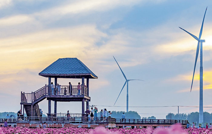 Un parc éolien à Bozhou (Anhui), le 27 avril 2024 