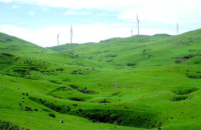 réserve naturelle de Baicaopao réserve naturelle de Baicaopao