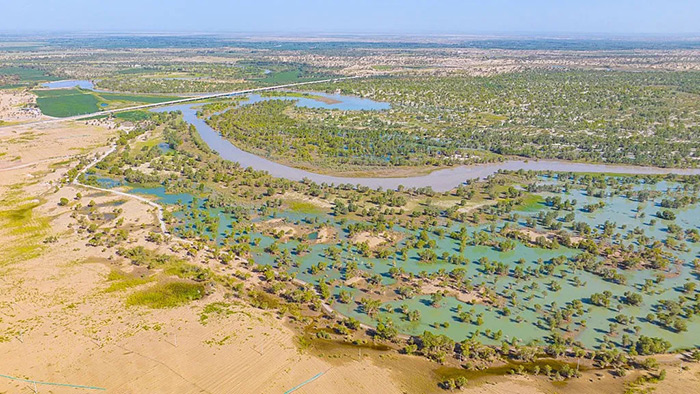 zone de boisement dans le désert de Taklamakan (photo Life Sciences)