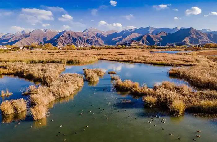 zone humide de Beishan Lalu, à Lhassa